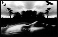 The Twice Told Tales of Lynch Fox Wood