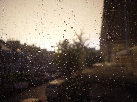 Precious rain in Rye Harbour