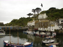 Looking seaward from Polperro, towards the Blue Peter Inn and Net Hut. In the Last Crown, The Bear  is a notable building, on the harbour.