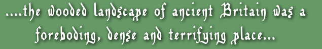 the wooded landscape of ancient britain was a foreboding, dense and terrifying place....