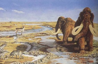 Mammoths, Wolves and Deer. Some of the beasts of Doggerland.