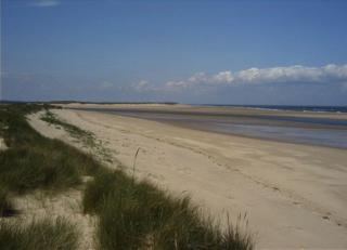 The sand dunes of Anglia.