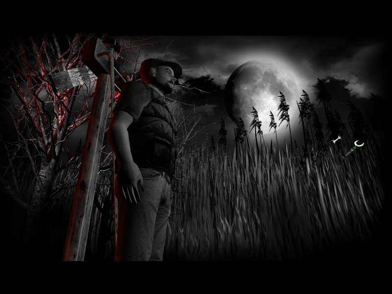 Click to See Next Image