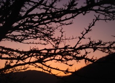 Blackentrack Woods: Haunted?