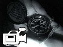 Video Footage: Click To View.