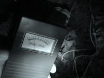 Is that a cat-like face beyond the EMF?