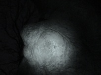 Eyes? Faces? Breasts?