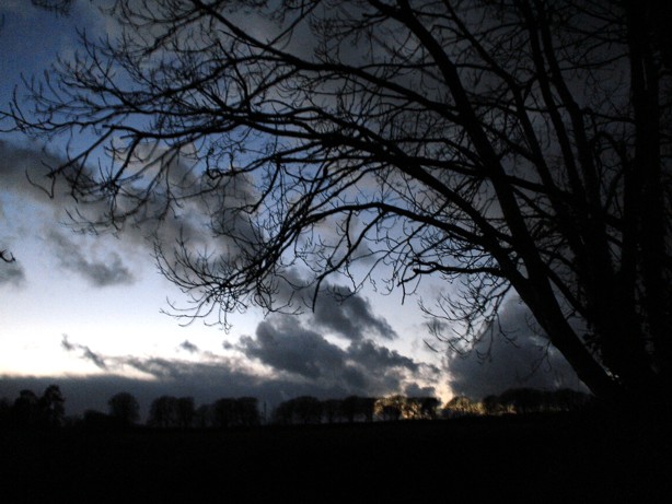 Orb activity near the shelter