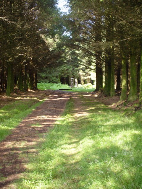 Orb activity near the shelter