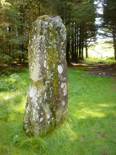 Orb activity near the shelter