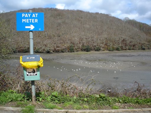 The West Looe River