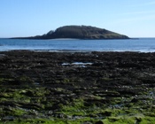 Looe Island, aka St.Georges, aka St.Michaels aka ....phew