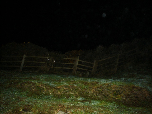 Could these be orbs? Or water droplets caught by the camera flash?