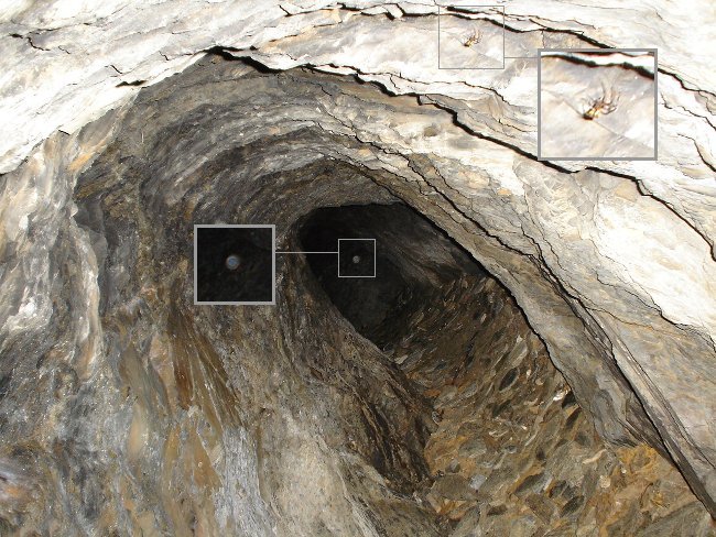 Orb activity near the shelter