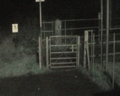 the gate to the lane