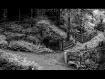 The bridleway meets the lane in The Lost Crown.
